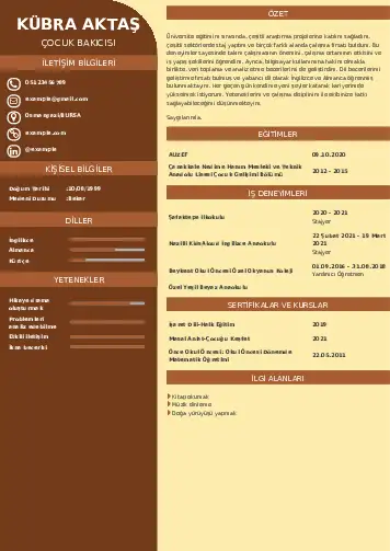 Çocuk Bakıcısı CV Örnekleri cv indir